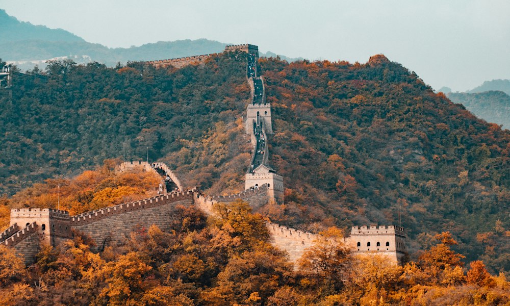 Study in China