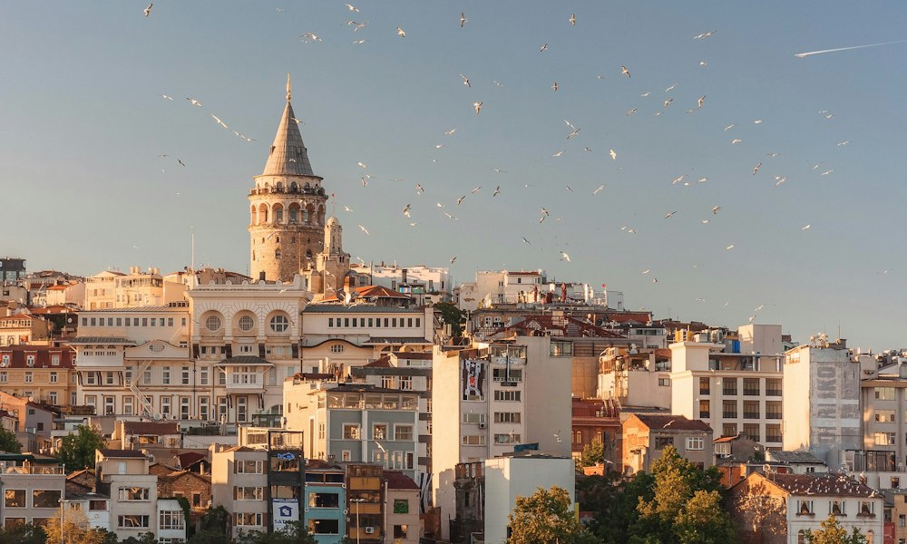 Study in Turkey